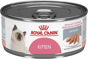 Royal Canin Feline Wet Kitten Food