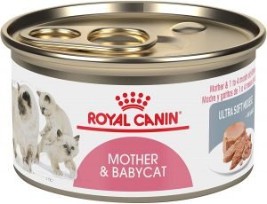 Royal Canin-Mother and Babycat Canned Food