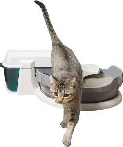 PetSafe Simply Clean Cat Litter Box