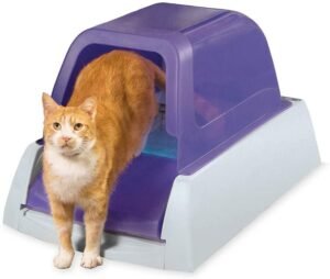 PetSafe Scoop Free Automatic Self Cleaning Hooded Cat Litter Box