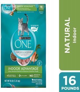 Purina One Indoor Advantage