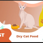 8 Best dry cat foods to Buy in 2020