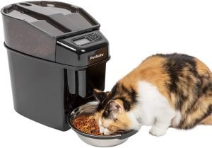 PetSafe Healthy Pet Automatic Cat and Dog Feeder