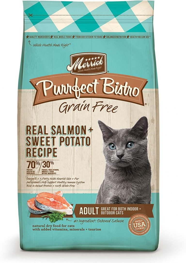 8 Best Grain Free Cat Foods of 2021 Best Cat Foods Advisor