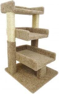 New Cat Condos Premier