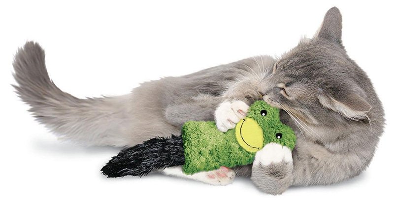 9 Best cat chew toys to Buy in 2020