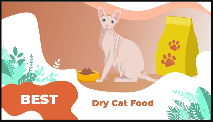 8 Best dry cat foods to Buy in 2020