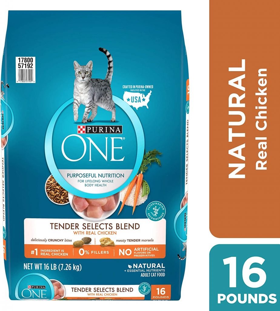 6 Best Dry Cat Foods for Outdoor Cats in 2023 Cat Food Advisor