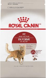 Royal Canin Fit Active Dry Cat Food