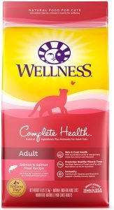 Wellness Complete Health Natural 6 best dry cat foods for outdoor cats