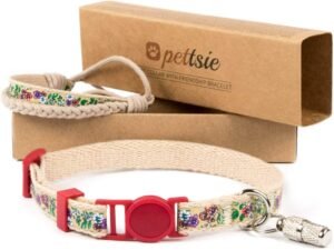 Personalized Cat Collar