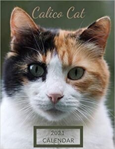 Calico Cat Calendar 2021