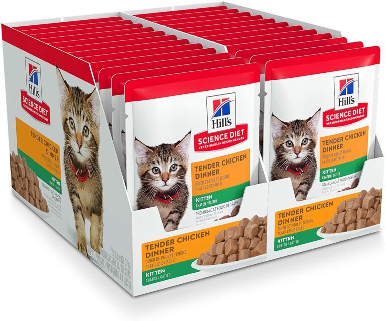 Introducing Wet Cat Food to Kittens (Quick Guide) Cat Food Advisor