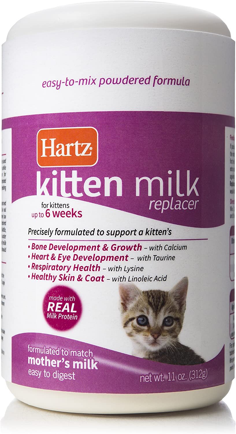 Introducing Wet Cat Food to Kittens (Quick Guide) Cat Food Advisor