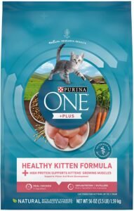 Purina Dry Kitten Kibble Food