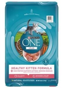 Purina One Healthy Kitten Formula