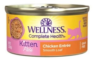 Wellness Complete Health Kitten Canned Wet Food Pate