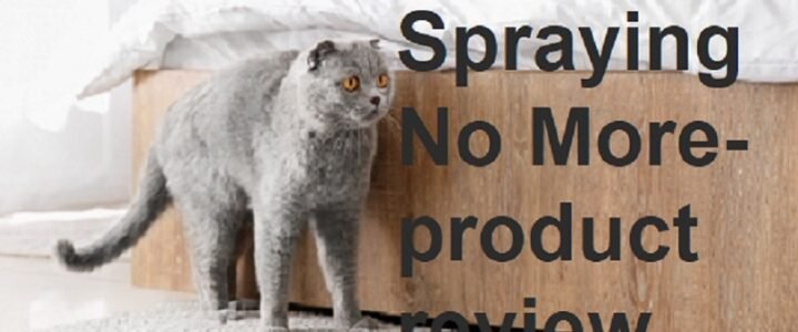 Cat Spraying No More product review