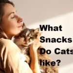 cat treats and cat snacks