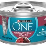 Purina One Urinary Tract Health Wet Cat food