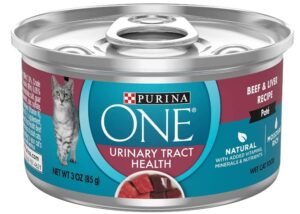 Wet cat food for uti health