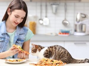 can cats eat human food